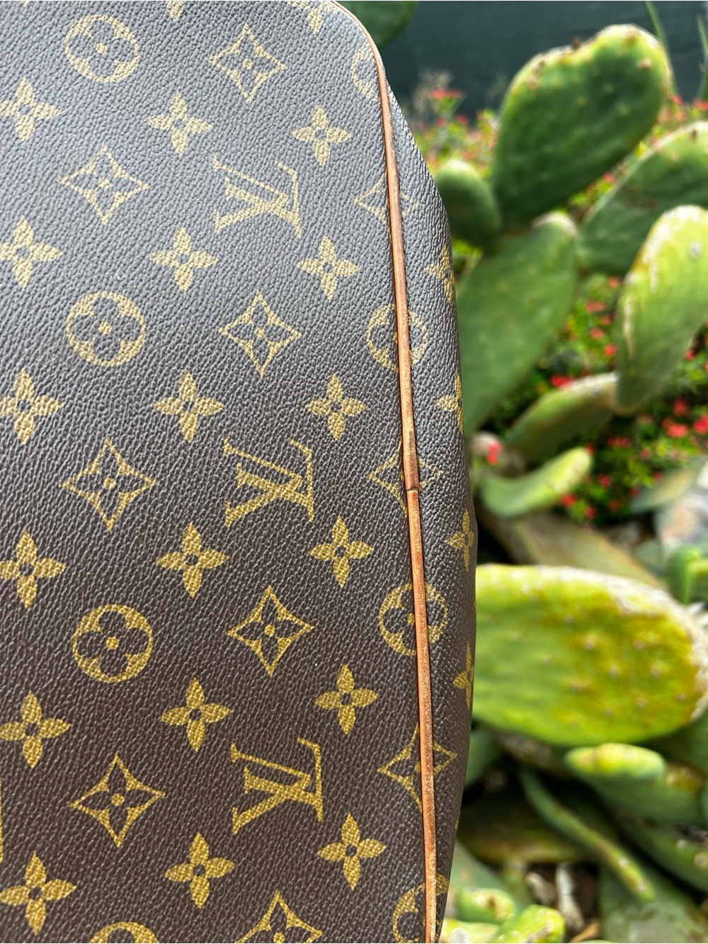Louis Vuitton Monogram Canvas Tote - Picture 12 of 15